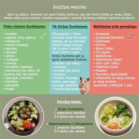 Infografika, vaizduojanti skirtingų vaistų grupių saugumą nėštumo metu, su akcentu į vaistus, skirtus virškinimo sutrikimams.