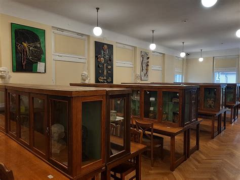 Anatomijos instituto muziejaus fasadas