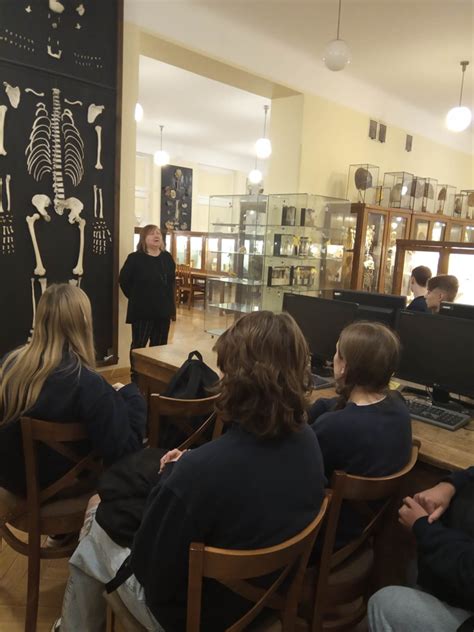 Anatomijos muziejaus vitrina su įvairiais preparatais