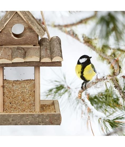 lesyklėlė su zylėmis