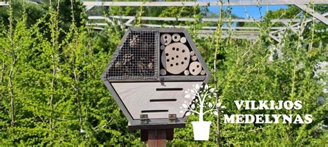 vabzdžių viešbučiai