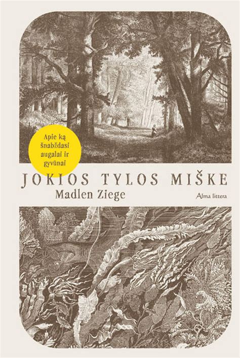 Atverčiamas langelis knygoje 