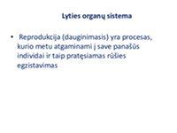 Moters lyties organai