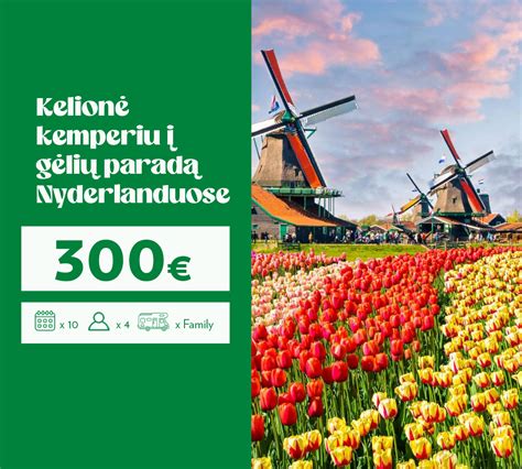 Gėlių šiltnamiai Nyderlanduose