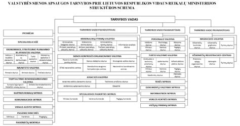 Sveikatos apsaugos sistemos schema Lietuvoje