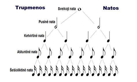 Muzikos natos ir plunksna