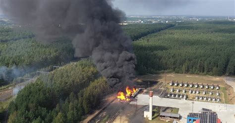 schematinis vaizdas, kaip atrodo anemijos paveikti eritrocitai