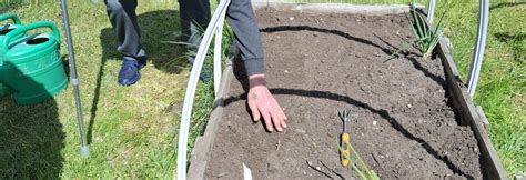 Mokinių darbas darže