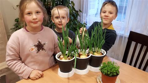 Vaikai sodina daržoves globos namuose