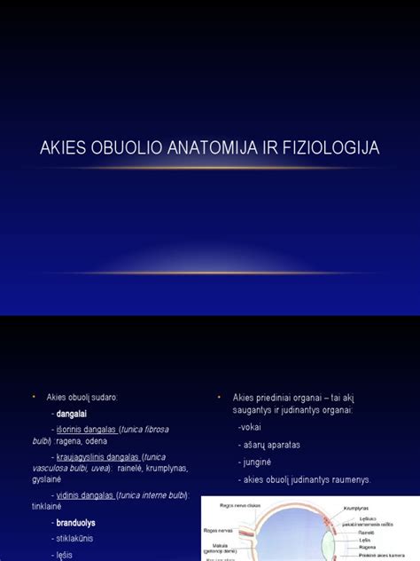 Naujagimio akies anatomija