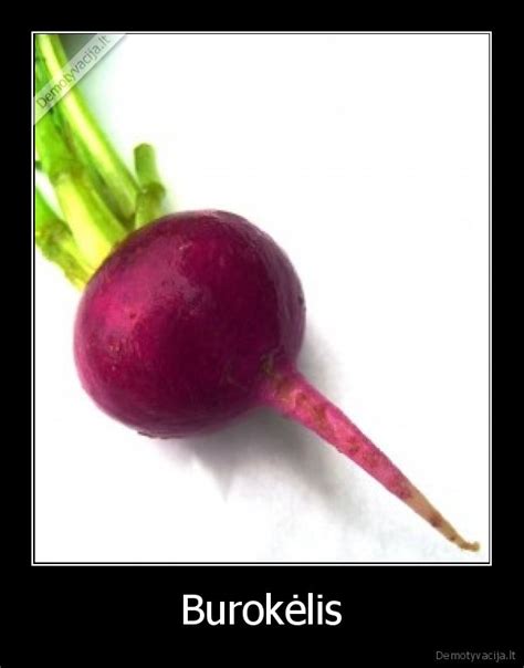 Vaizdas su leidyklos 