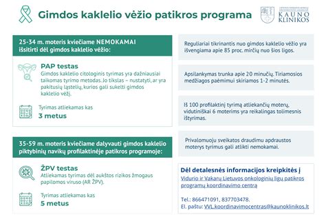 Schematinis dviragės gimdos pavaizdavimas