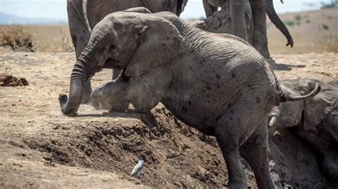 Žmonės laidoja artimuosius