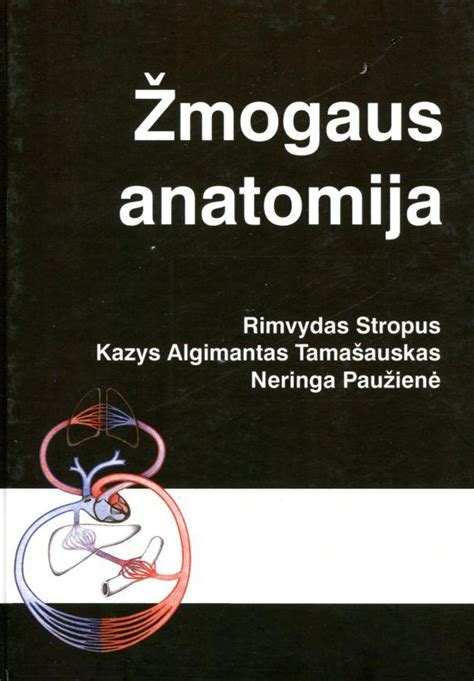 anatomija žmogaus kraujagyslių sistema