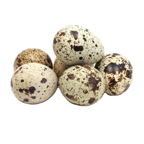 įvairių rūšių kiaušiniai: vištos, putpelės, perėjo