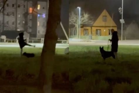 Žmogus vedžioja šunį parke