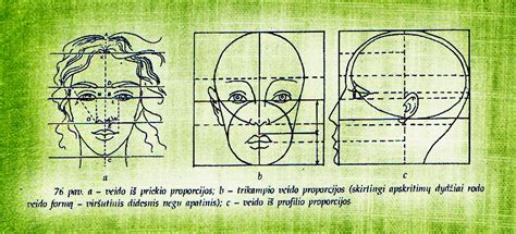 vaiko veido proporcijos
