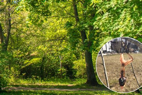 Kranklys ant medžio šakos