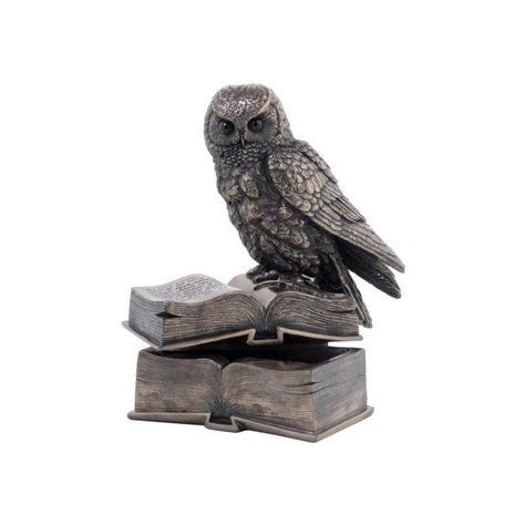 Pelėda ant knygų krūvos