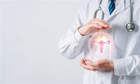 Moterų reprodukcinė sistema