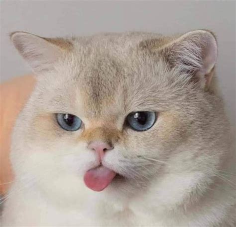 Tėvai giria vaiką už jo piešinį, nepaisant jo netobulumų