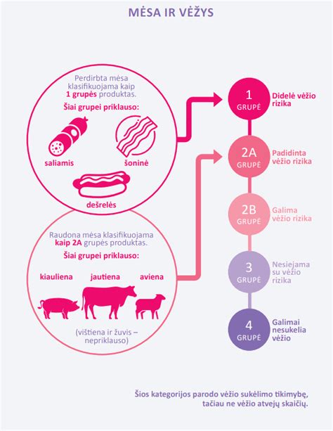 Infografika: papildomo maitinimo rekomendacijos