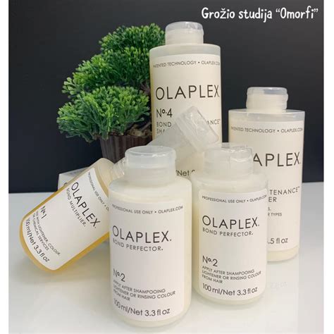 Placentos struktūra ir jungtis su vaisiumi