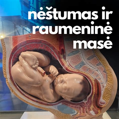 anatomija nėštumo metu