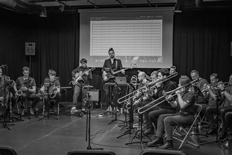 Grupė Delfinai scenoje