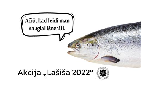 Žuvų neršto iliustracija