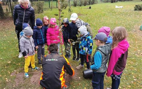 vaikai darželyje sodina augalus