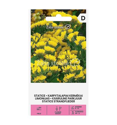 Rytinės laumės geltoni žiedai