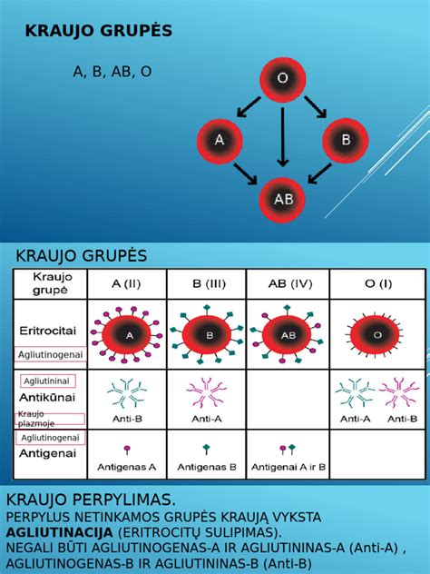 Diagrama, vaizduojanti anti-Kell antikūnų poveikį vaisiaus raudoniesiems kraujo kūneliams