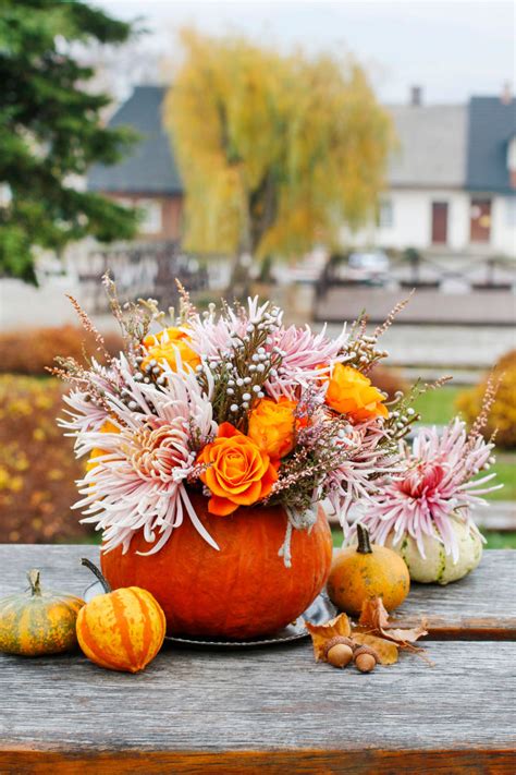 Moliūgų ir lapų kompozicija