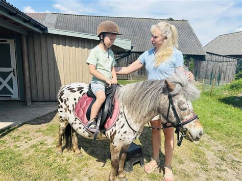 Vaiko glostomas ponis šeimos ūkyje