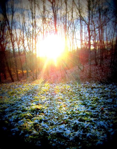 Žiemos peizažas su sniegu ir saulės spinduliais