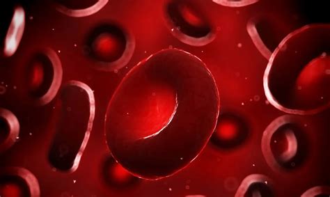 raudonieji kraujo kūneliai su hemoglobinu