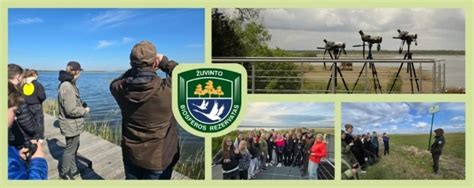 žmogaus sukurtas žemėlapis, rodantis paukščių migracijos kelius