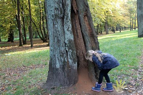 vaikai sodina medelius gamtoje