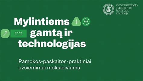 Medicinos studijų procesas, paskaitos ir praktiniai užsiėmimai