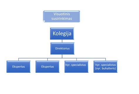 Schema: Organizacijos elementai