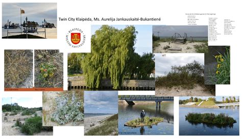 simbolinis atvaizdas, vaizduojantis dvynių ryšį