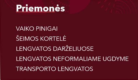 daugiavaikių šeimų parama