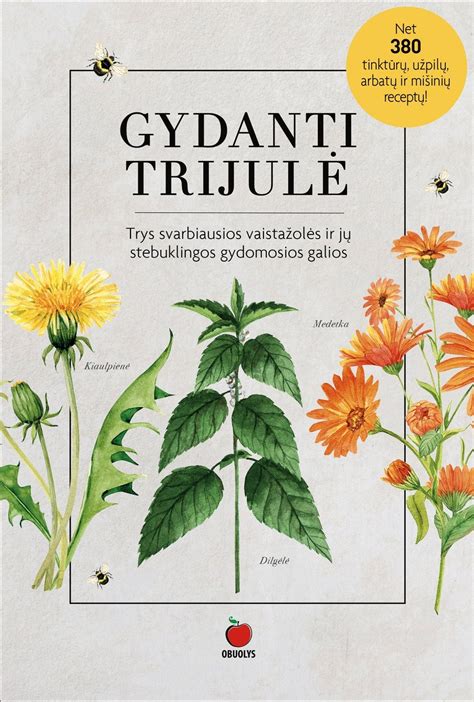 Įvairios vaistažolės ir jų rinkiniai