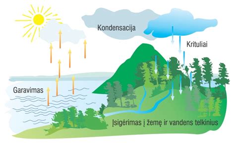 vandens būsenų palyginimas