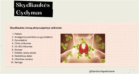 Diagrama, iliustruojanti žmogaus vaisiaus vystymąsi