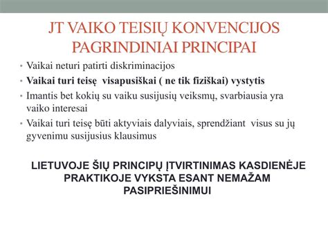 Vaiko teisių konvencijos pagrindiniai principai