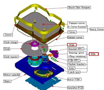 Spermatozoido schema su pažymėtomis dalimis
