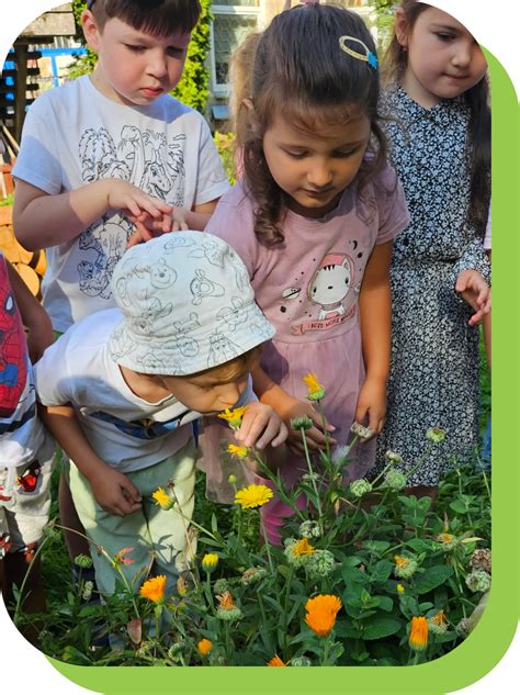vaikai stebi augalų augimą skirtingose sąlygose