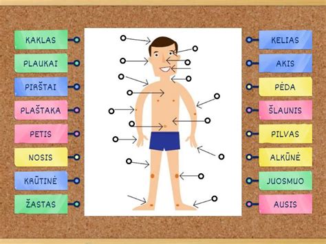 Žmogaus kūno elektrolitų balansas